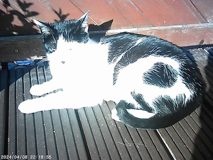 Auf Schnappschüsse im Sonnenlicht sollten die kleinen Artisten besser nicht bauen, hier belichtet die Kamera über..