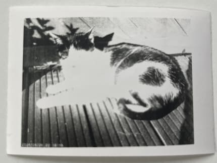 Auf dem Ausdruck ist nicht mehr viel zu erkennen.