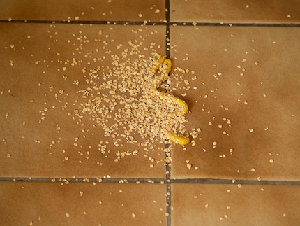 Granen en mosterd ...