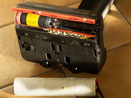 Alleen de rolborstel en een deel van de standaard kunnen worden verwijderd voor handmatige reiniging. 