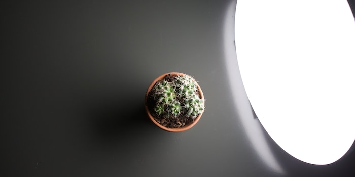 Bokehboo Studios/Shutterstock Bokehboo Studios/Shutterstock