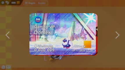 Wer auf kosmetische Items steht, kann stundenlang mit Dekorieren verbringen. Hier mein virtueller Fahrausweis.