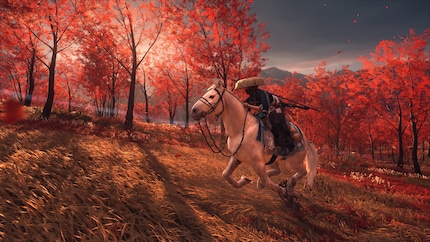 Digitale Herbstwälder sahen nie schöner aus als in «Ghost of Yotei»