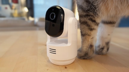 Ganz so subtil, wie sich meine Katze in dieses Bild geschlichen hat, lassen sich WLAN-Kameras eben doch nicht ins Sicherheitskonzept deines Zuhauses aufnehmen.