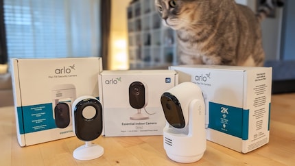 Wer weiss, wer – ausser mir – die Live-Feeds aus meiner Wohnung genauso neugierig angucken könnte wie meine Katze.