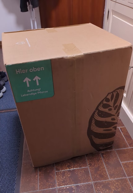 Dein Paketbote wird sich freuen, denn die Verpackung ist ordentlich groß.