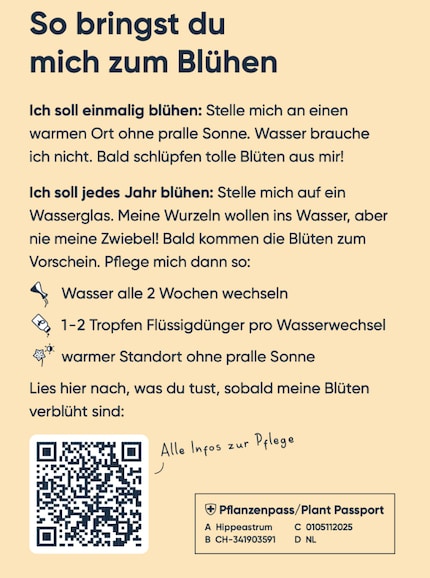 Wenn dein grüner Daumen nicht so gut entwickelt ist, helfen die Pflegetipps weiter.