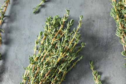 Dagegen ist ein Kraut gewachsen: und zwar Thymian gegen Hustenanfälle.