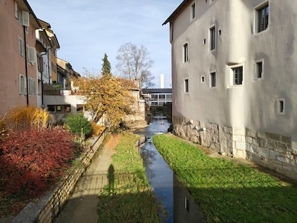 Ein Foto mit der Hauptkamera. Die Qualität hat Luft nach oben.