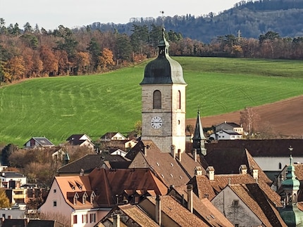 Bereits die vierfache Vergrösserung lässt zu wünschen übrig.