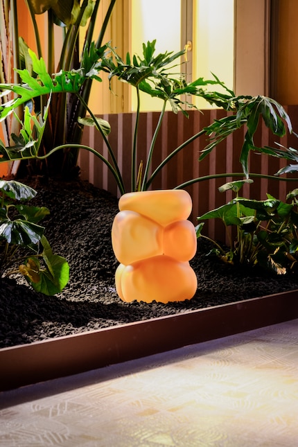 Die halbtransparente Oberfläche lädt mit ihrer glatten, matten Textur zum Berühren ein.