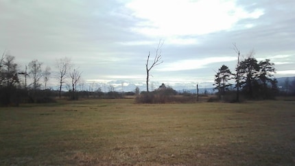 Die Rollei Mini-Digitalkamera macht Bilder. Nicht unbedingt gute Bilder, aber sie macht Bilder.