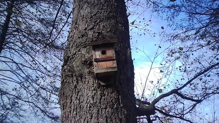 Zoomen kannst du mit der Mini-Cam natürlich nicht.