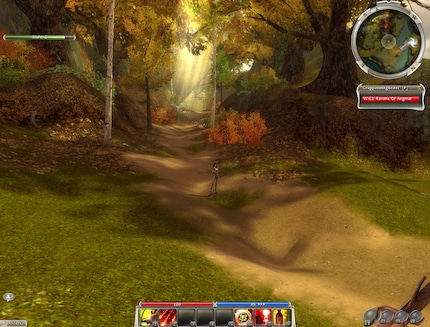 Lichtstrahlen zwischen den Bäumen haben mich damals sehr beeindruckt.