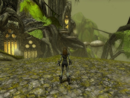 Kathedralen aus Bäumen in der «Factions»-Erweiterung – die fand ich beeindruckend.