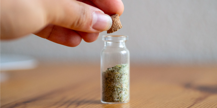 Stefanie Lechthaler Stefanie Lechthaler