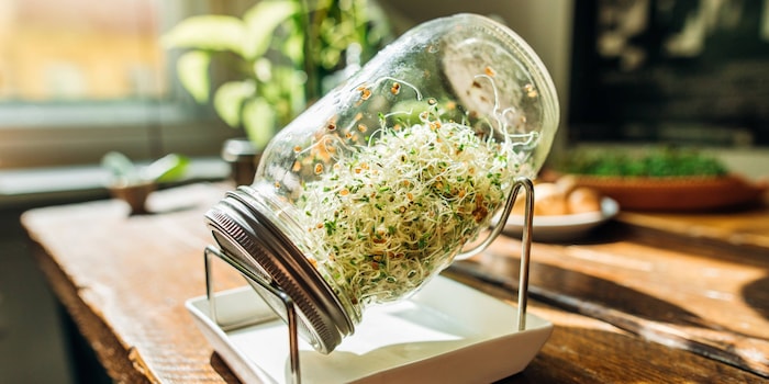 Wally Pruss/Shutterstock