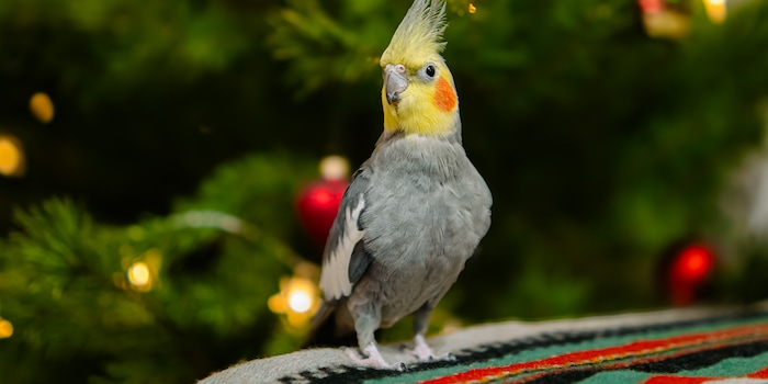 Shutterstock Shutterstock