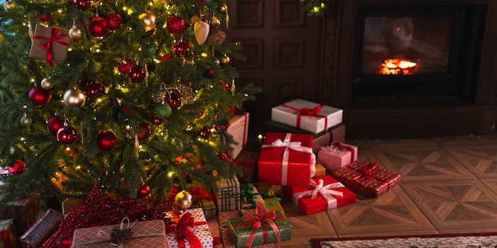 Julia Zavalishina / Shutterstock