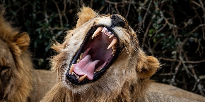 Shutterstock / Callum Evans Photography Shutterstock / Callum Evans Photography