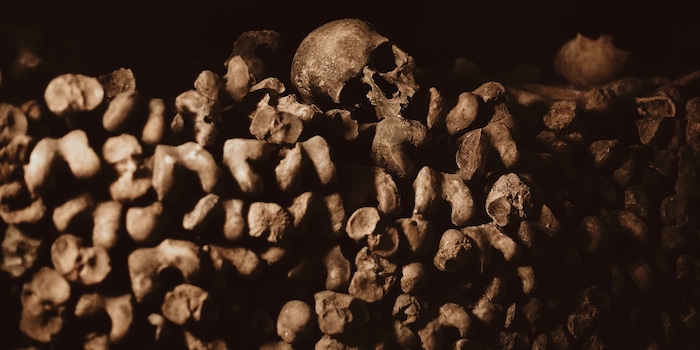 Shutterstock / Wolh Shutterstock / Wolh