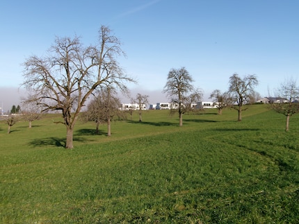 Bei diesem Foto wurde ein wenig herangezoomt.
