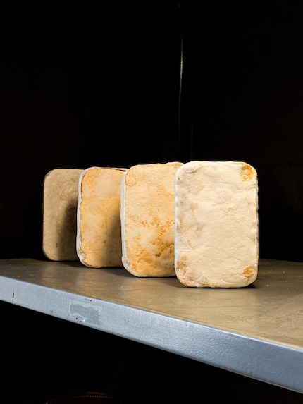 Experimentelles Design, das die Grenzen des Gewohnten sprengt.