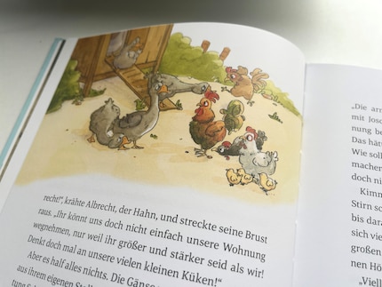 Wer darf wo schlafen? Die großen Gänse verdrängen die kleinen Hühner – eine Schlüsselszene, die Ungerechtigkeit für Kinder sofort fühlbar macht.