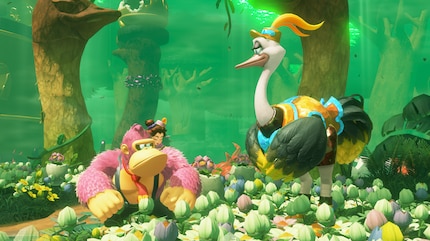 DK ist mit dem dritten Platz nicht zufrieden.