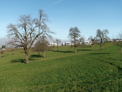 Die Fotos werden einigermassen scharf.