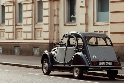 De eend heeft fans over de hele wereld, ook in Zweden.