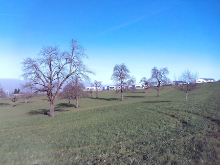 Klein sieht es vielleicht noch okay aus ...