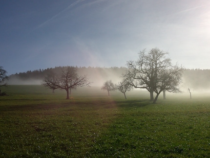 Die Auflösung ist schon ohne Zoom nicht gut – für ein so verkleinertes Bild reicht es.