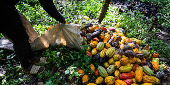 Shutterstock/Media Lens King Shutterstock/Media Lens King