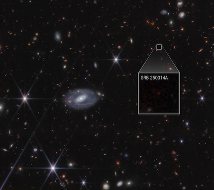 © NASA, ESA, CSA, STScI, Andrew Levan (Radboud University); Image Processing: Alyssa Pagan (STScI) / GRB 250314A Pull-out (immagine NIRCam) (dettaglio)