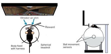 The setup - here still without VR display and fire button.