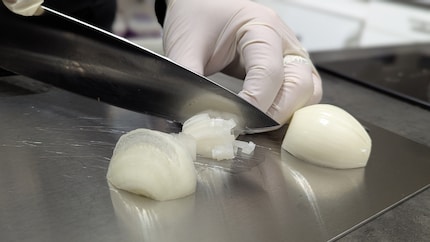 Bei einer Zwiebel fällt es nicht so auf, aber ich vermisse die Saftrinne.