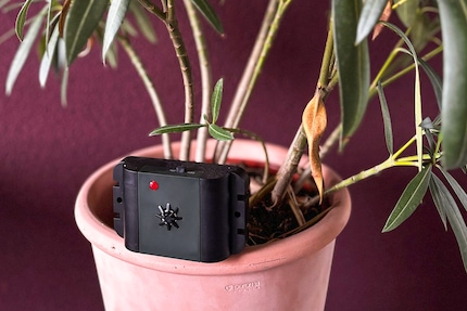 Das Versprechen des Taubenvertreiberts klingt gut. Er vertreibt jedoch gar nichts.