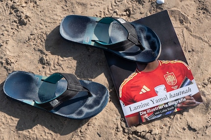 Die «Illustrierte Biografie» des Flip Flop Verlags ist für mich völlig wertlos.