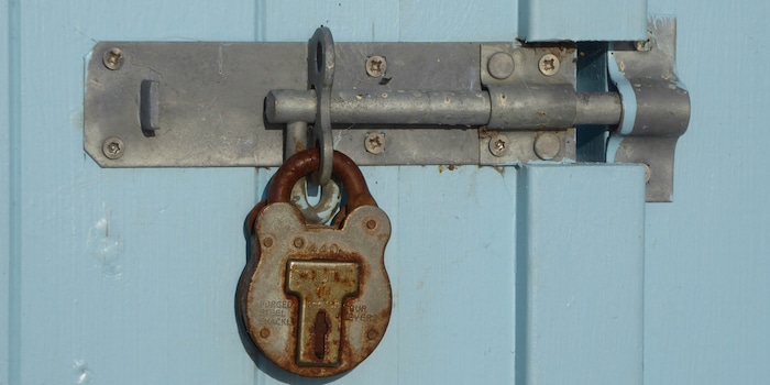 Unsplash/Belinda Fewings Unsplash/Belinda Fewings