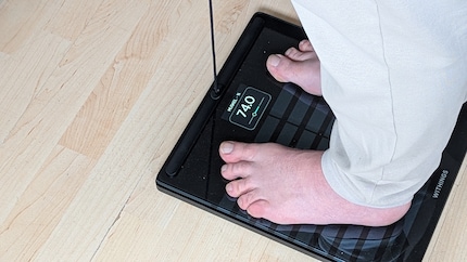 Die Muskelmasse ist ganz okay.