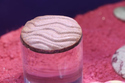 Ein gebackener Highlighter.