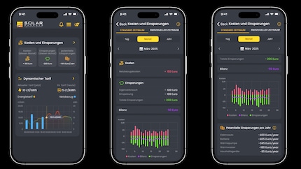 Hier sind die Stromeinsparungen beispielhaft zu sehen. Die App gibt auch Tipps, wie sich noch mehr sparen liesse.