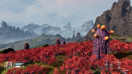 Diese merkwürdigen Kakteenfrüchte machen satt und verringern Durst.