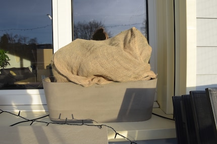 Rosmarin, Thymian und Salbei unter dem Jutemantel, der – im Unterschied zur Lichterkette – dem Sturm stand hielt. Den winterfesten Kunststoff-Topf muss ich nicht zusätzlich isolieren.