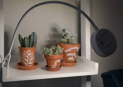 Kopfüber: Die Pflanzenlampe lässt sich in alle Richtungen drehen.