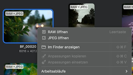 Die Auswahl zwischen RAW und JPEG ist nur da, solange noch nichts bearbeitet wurde.