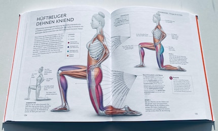Gezeigt werden verschiedene Stufen der Übung und wie sich die Kräfte dabei verschieben.