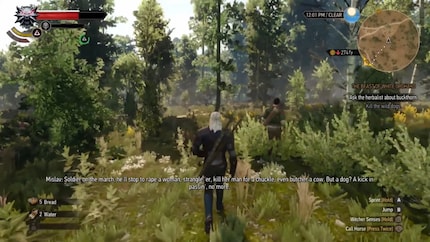 Als hätte ich meine Brille vergessen: «The Witcher 3» auf der Switch.