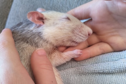 Mach's gut, lieber Ben.